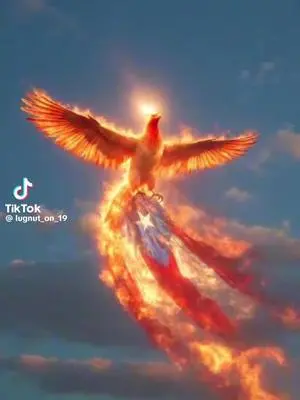 Abigail Evans TikTok