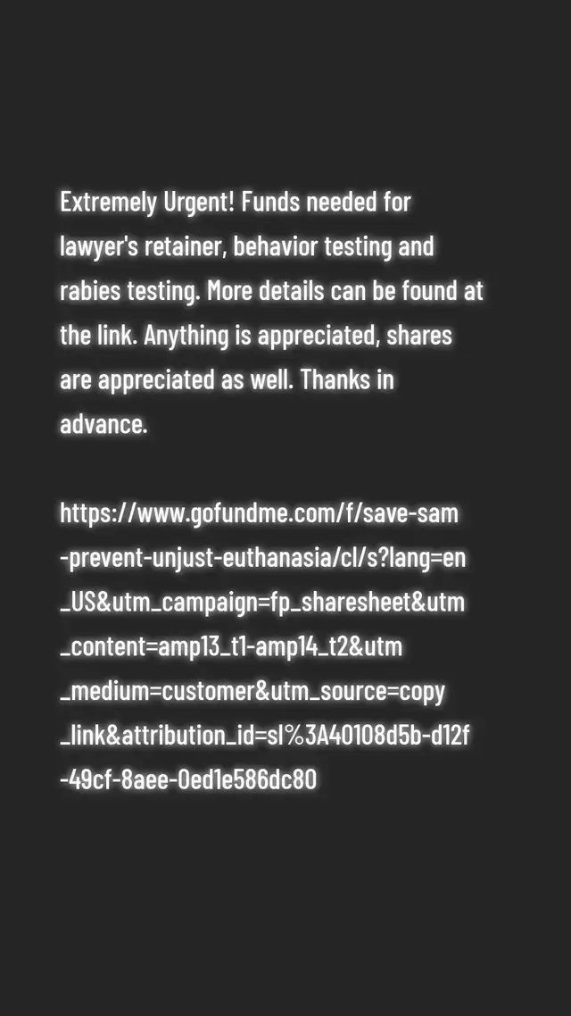 Rebecca Calabris TikTok