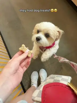 Symonne Harrison TikTok