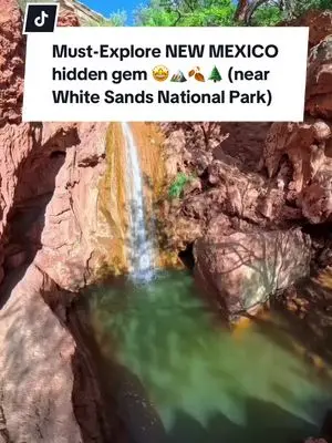 Mindy Michaels TikTok