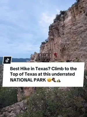 Mindy Michaels TikTok