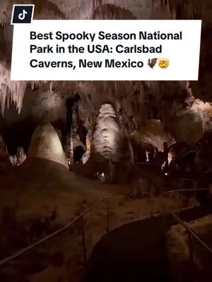 Mindy Michaels TikTok