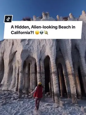 Mindy Michaels TikTok