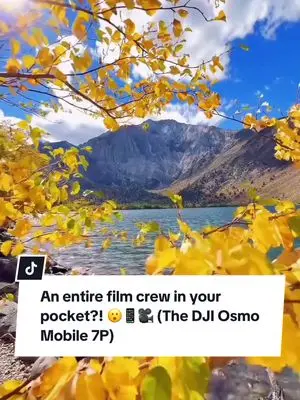 Mindy Michaels TikTok