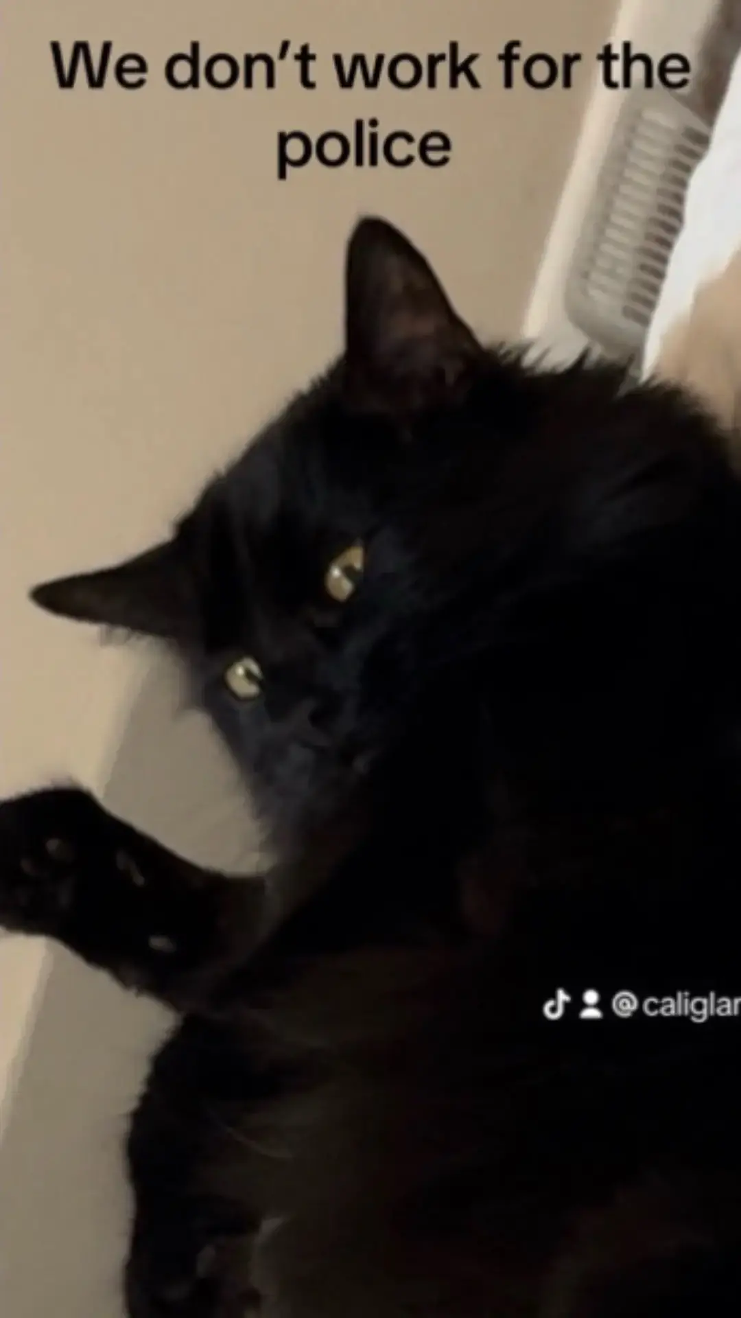 Alissa Villani TikTok