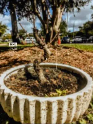 Humberto Suarez TikTok