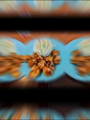 Humberto Suarez TikTok