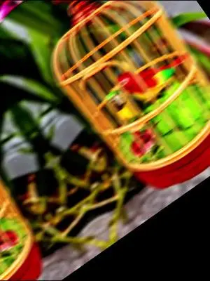 Humberto Suarez TikTok