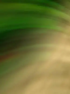 Humberto Suarez TikTok