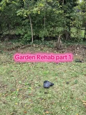 Toshiba Sullivan TikTok