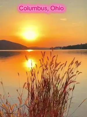 Toshiba Sullivan TikTok