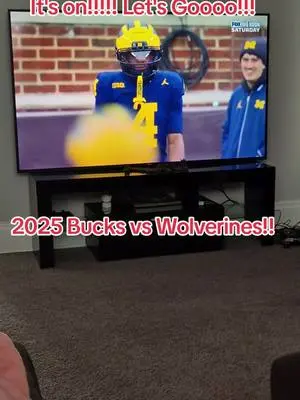 Toshiba Sullivan TikTok