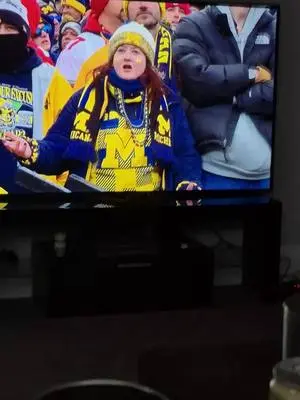 Toshiba Sullivan TikTok