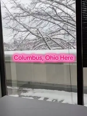 Toshiba Sullivan TikTok