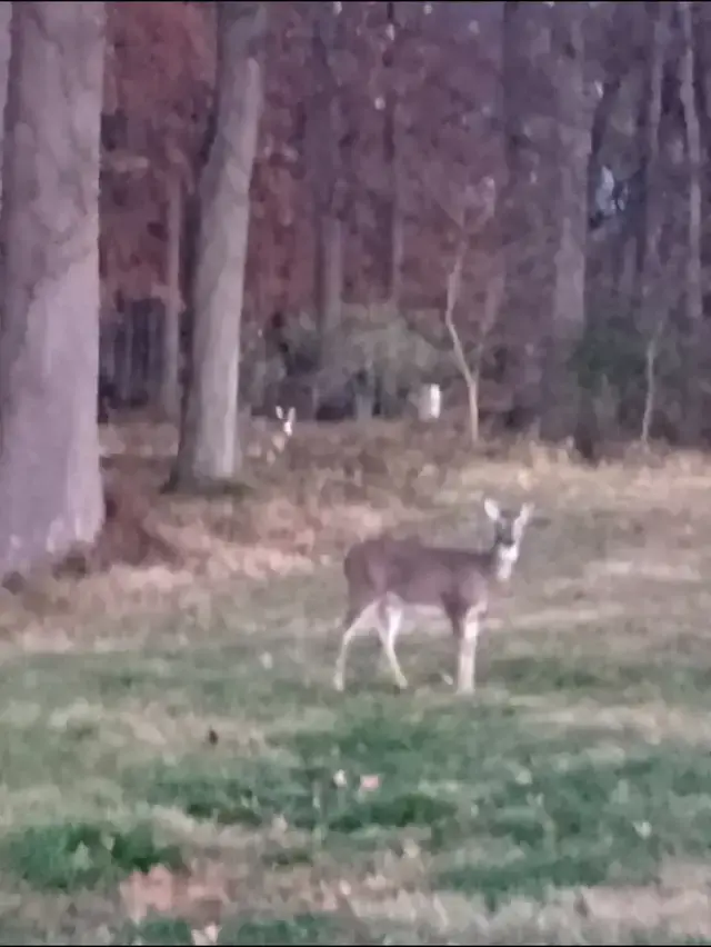 Katarzyna Piech TikTok