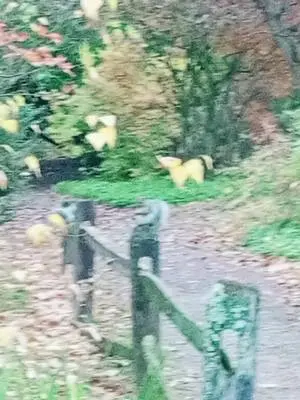 Katarzyna Piech TikTok