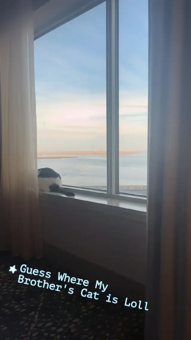 Katarzyna Piech TikTok