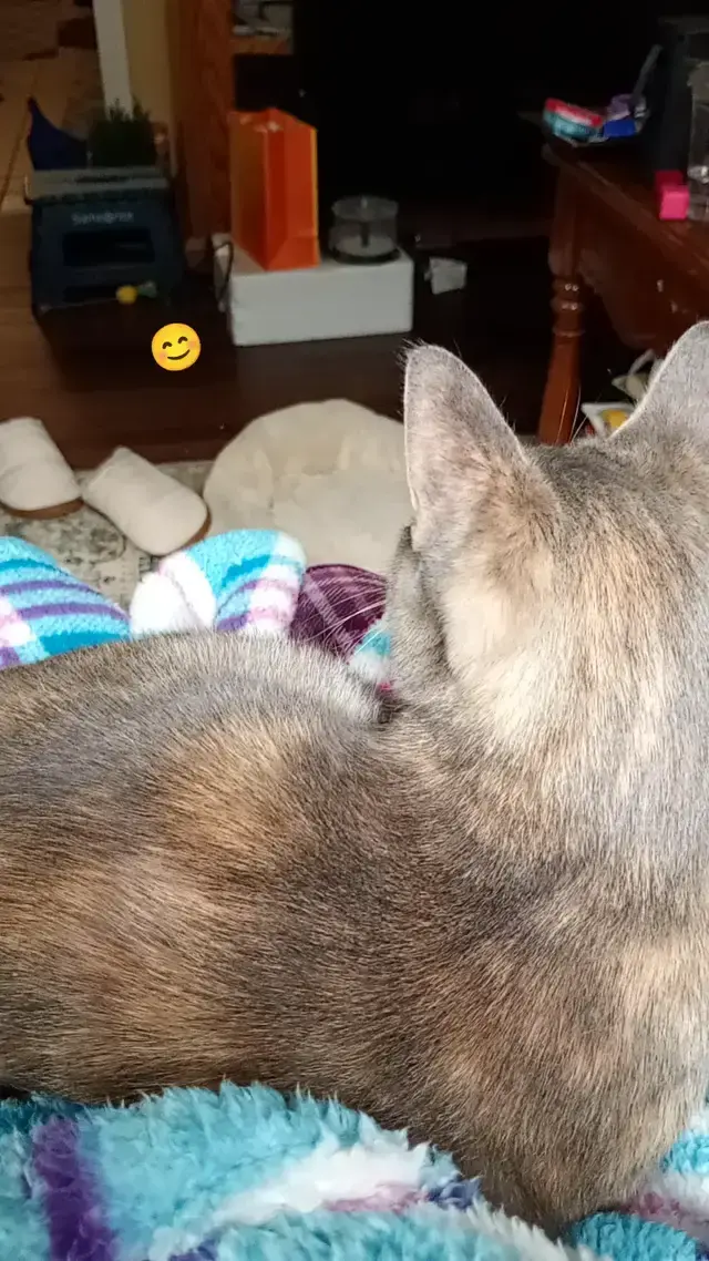 Katarzyna Piech TikTok