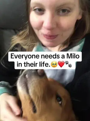 Taylor Hawthorne TikTok