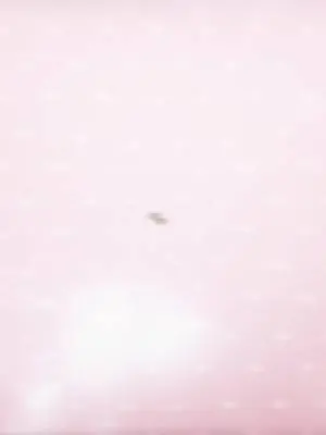 Maddie Krischer TikTok