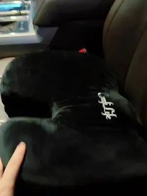 Richard Holley TikTok