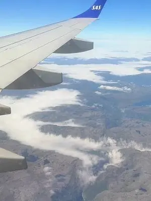 Richard Holley TikTok