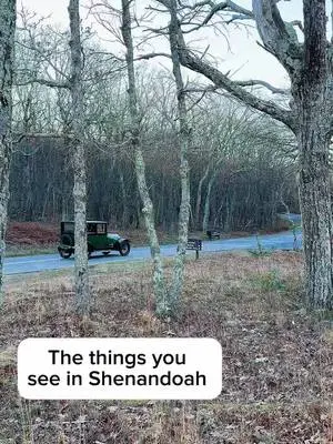 Richard Holley TikTok