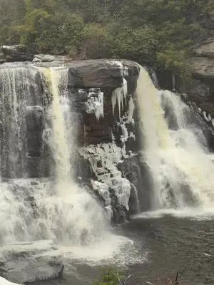 Richard Holley TikTok