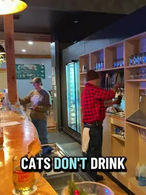 Richard Holley TikTok