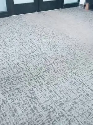 Kenyetta Williams TikTok