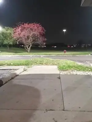 Kenyetta Williams TikTok