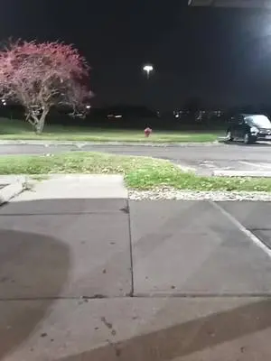 Kenyetta Williams TikTok