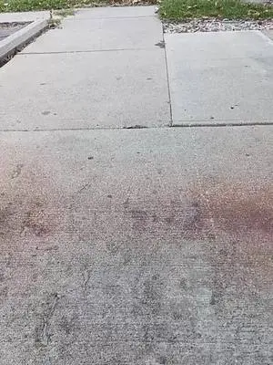 Kenyetta Williams TikTok