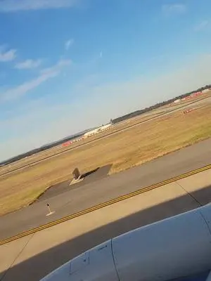 Darleen G Teves TikTok