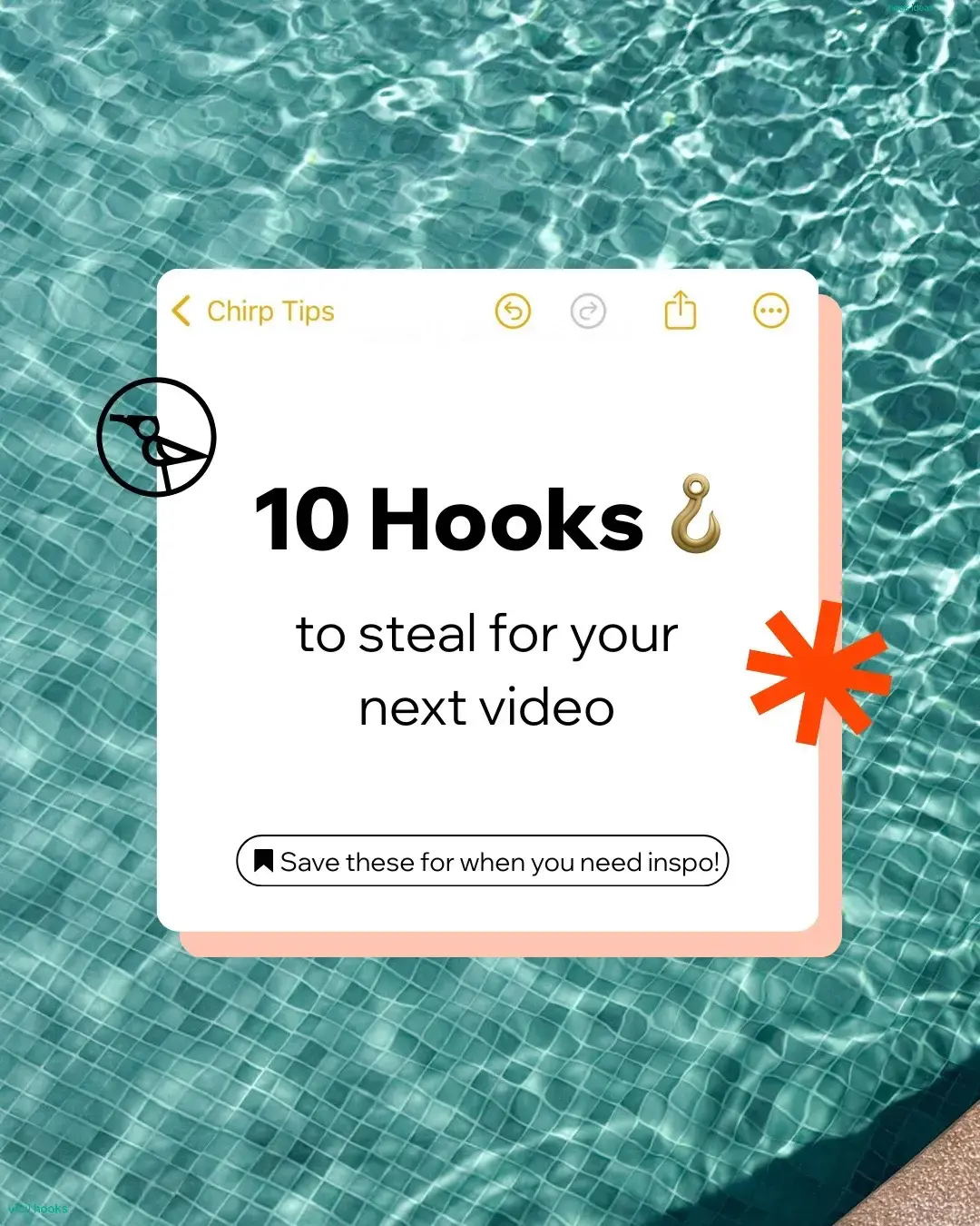 Chirp Team TikTok
