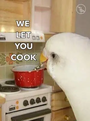 Chirp Team TikTok