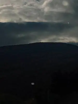 David Bristol TikTok