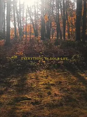 David Bristol TikTok