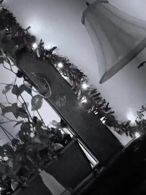 David Bristol TikTok