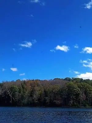 David Bristol TikTok