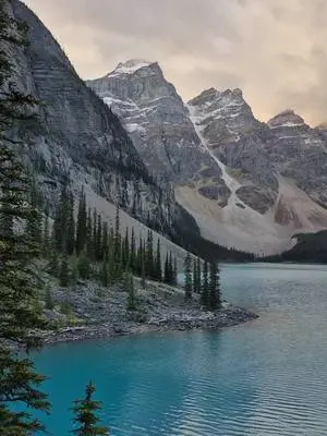 Ellen K Wookey TikTok