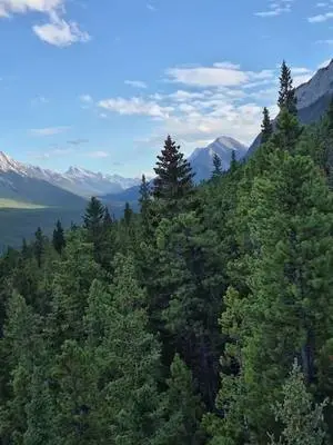 Ellen K Wookey TikTok