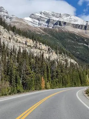 Ellen K Wookey TikTok