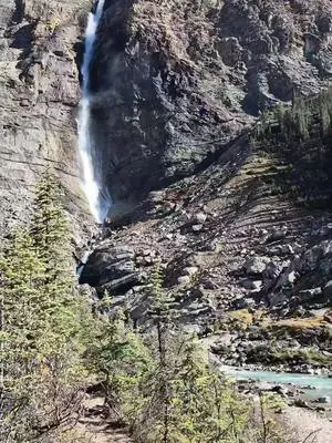 Ellen K Wookey TikTok