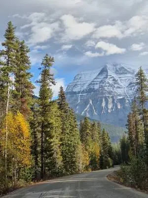 Ellen K Wookey TikTok