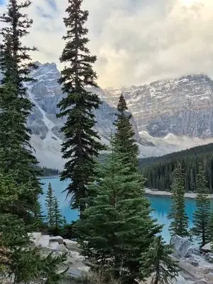 Ellen K Wookey TikTok