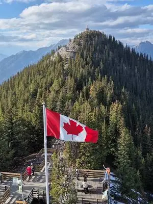 Ellen K Wookey TikTok