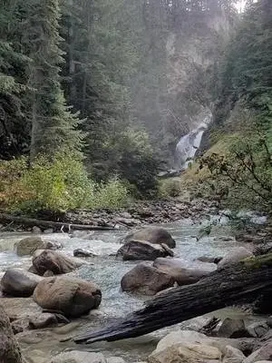 Ellen K Wookey TikTok