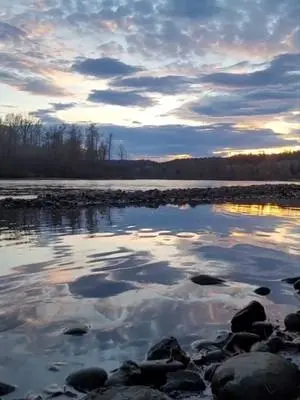 Ellen K Wookey TikTok