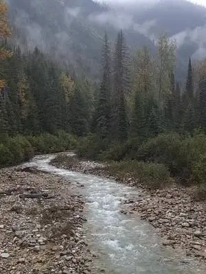 Ellen K Wookey TikTok